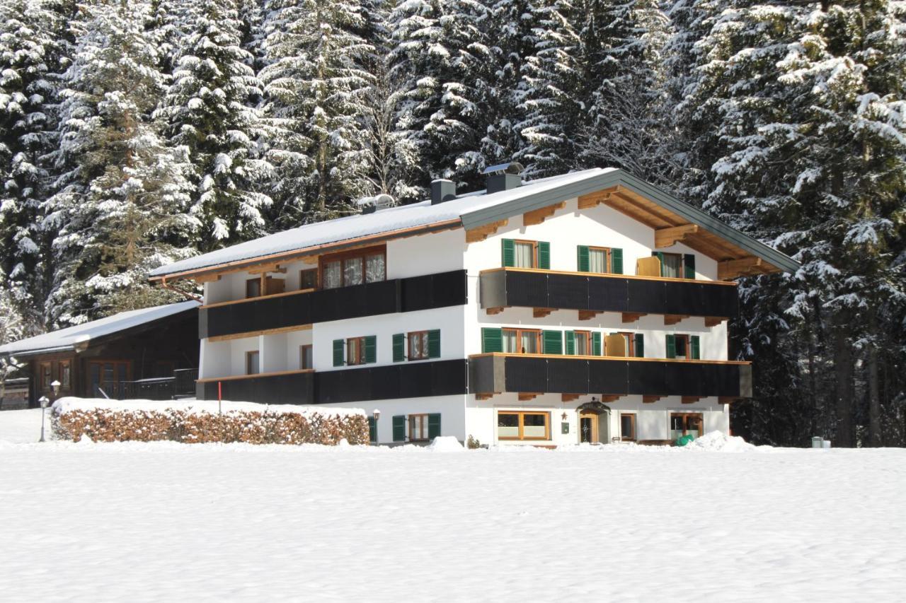 otto steiner appartements pension ellmau&wilder kaiser Eksteriør bilde